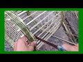 Installing Cage For Bird From Bamboo