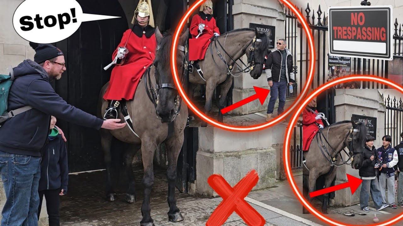 «ВЫБИРАЙСЯ ИЗ КОРОБКИ!» Леди-охранница блестяще справилась с ситуацией!