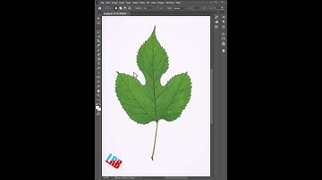 The Best New Photoshop 2023 || Feature   Delete and Fill Selection || #photoshoptutorial  #shorts