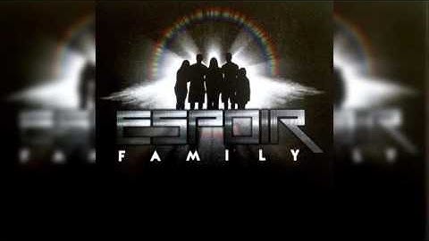 Orthogonal families of curves (MathsCasts) !!!