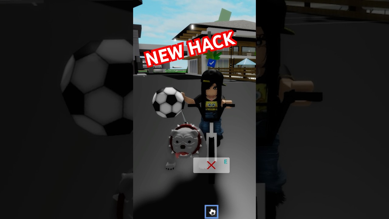 New Brookhaven Hacks 😱😱😱❤️‍🩹