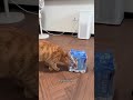 Unbelievable Coincidences #coincide #Unbelievable #Incredible #funny #foryou #amazing #viral #fyp