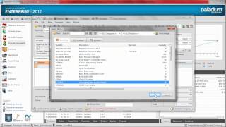 Palladium Accounting Software Split Payments