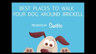 Best places to walk your dog around Brickell