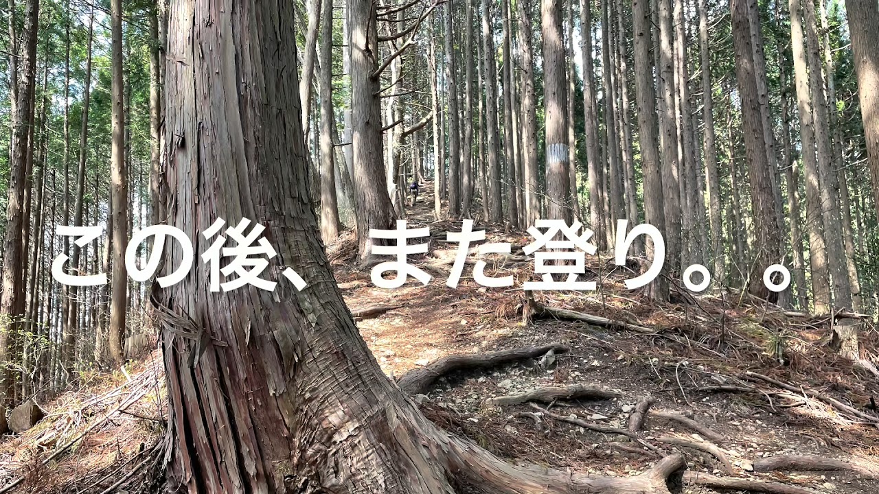 ほぼ ハセツネ30kコース 21年 をハイキングしてみた Youtube