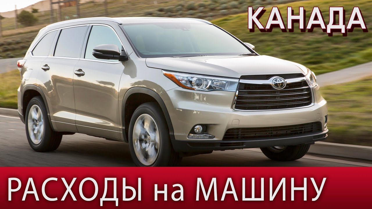 Оформление машины в узбекистане