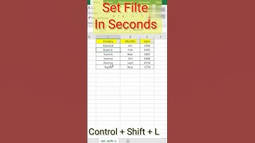 Set Filter in Excel within Seconds 🔥😧 #exceltips #youtubeshorts