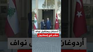 الرئيس التركي يستقبل رئيس الوزراء اللبناني في إسطنبول