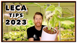 LECA Care Tips for 2023 - 5 Semi Hydroponics Tricks