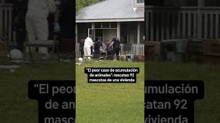 Rescatan 92 mascotas de la vivienda de un trabajador del USPS | Telemundo 39