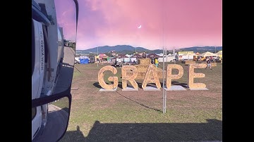 KOSIT WEST GRAPE FESTIVAL 2023