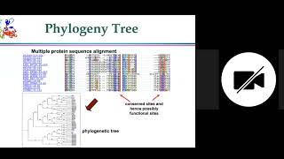 Bioinformatics servers and databases for studying proteins 3-1