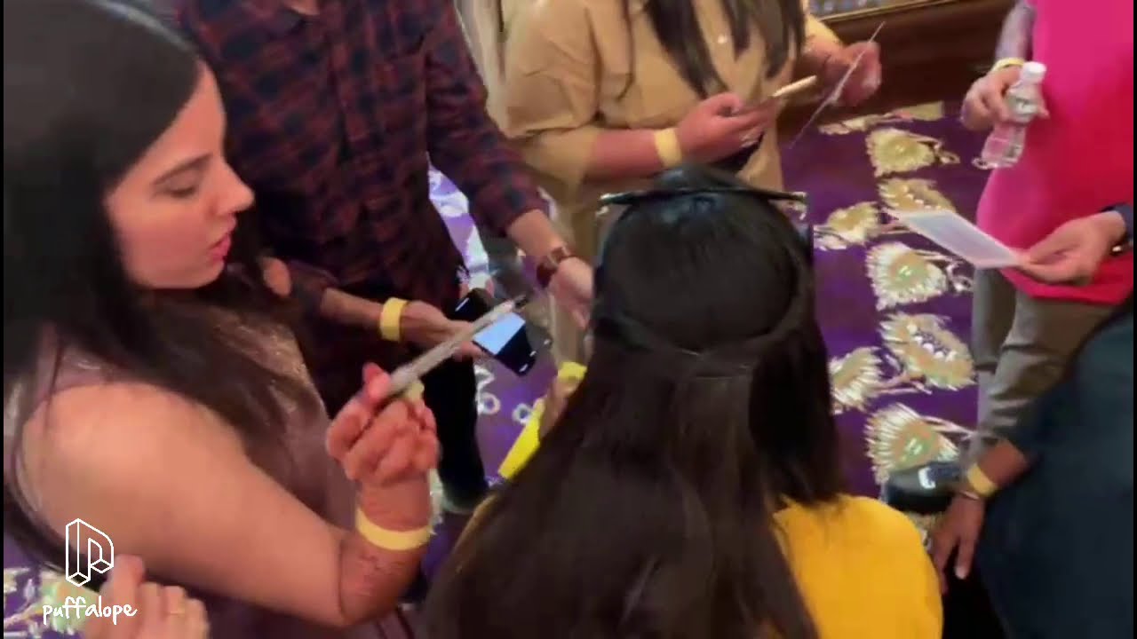 Leela Palace Udaipur Wedding Entertainment by Puffalope !!