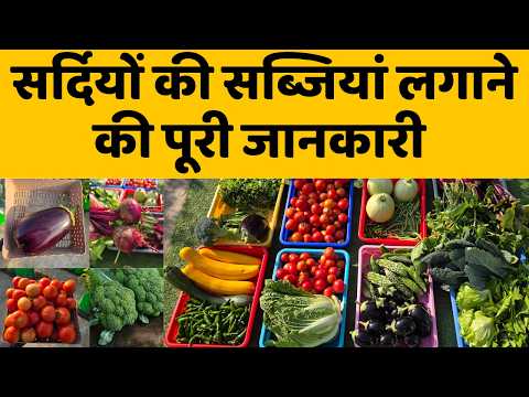 अभी नहीं लगाए तो पछताओगे! | नए पौधे अपडेट, गार्डन टूर और सर्दियों की सब्जियां लगाने की जानकारी