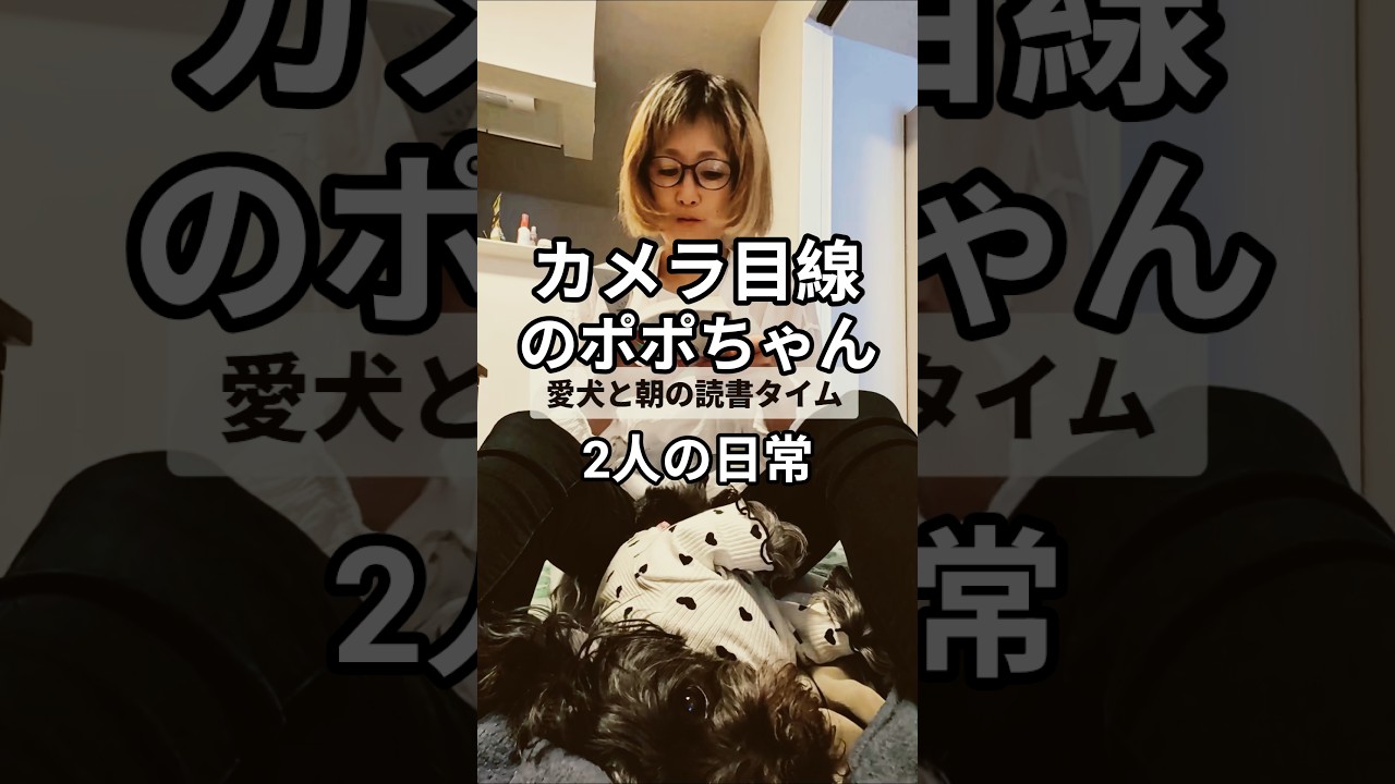 #shortvideo #shorts #日常 『親バカの愛犬家と本と老眼鏡』朝のポポちゃんとの大切に読書タイム