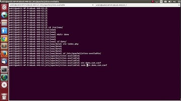 Setting Virtual  Host Ubuntu