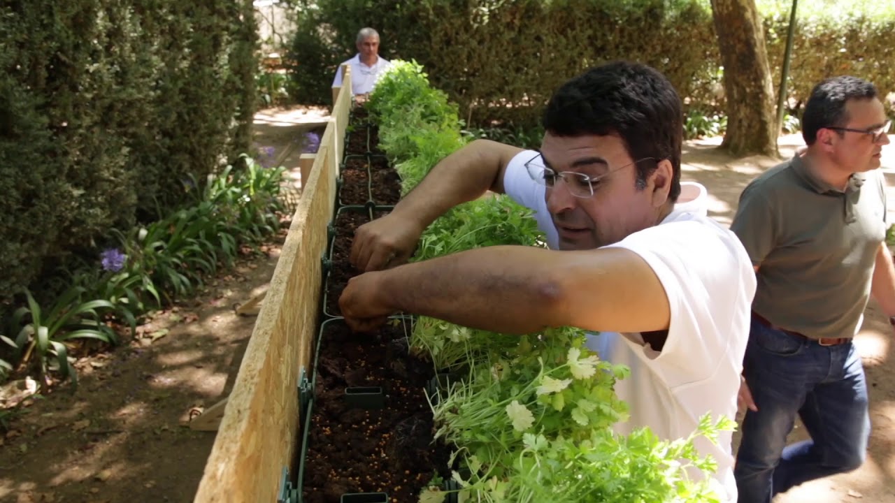 Vertical Garden Systems By Minigarden Youtube