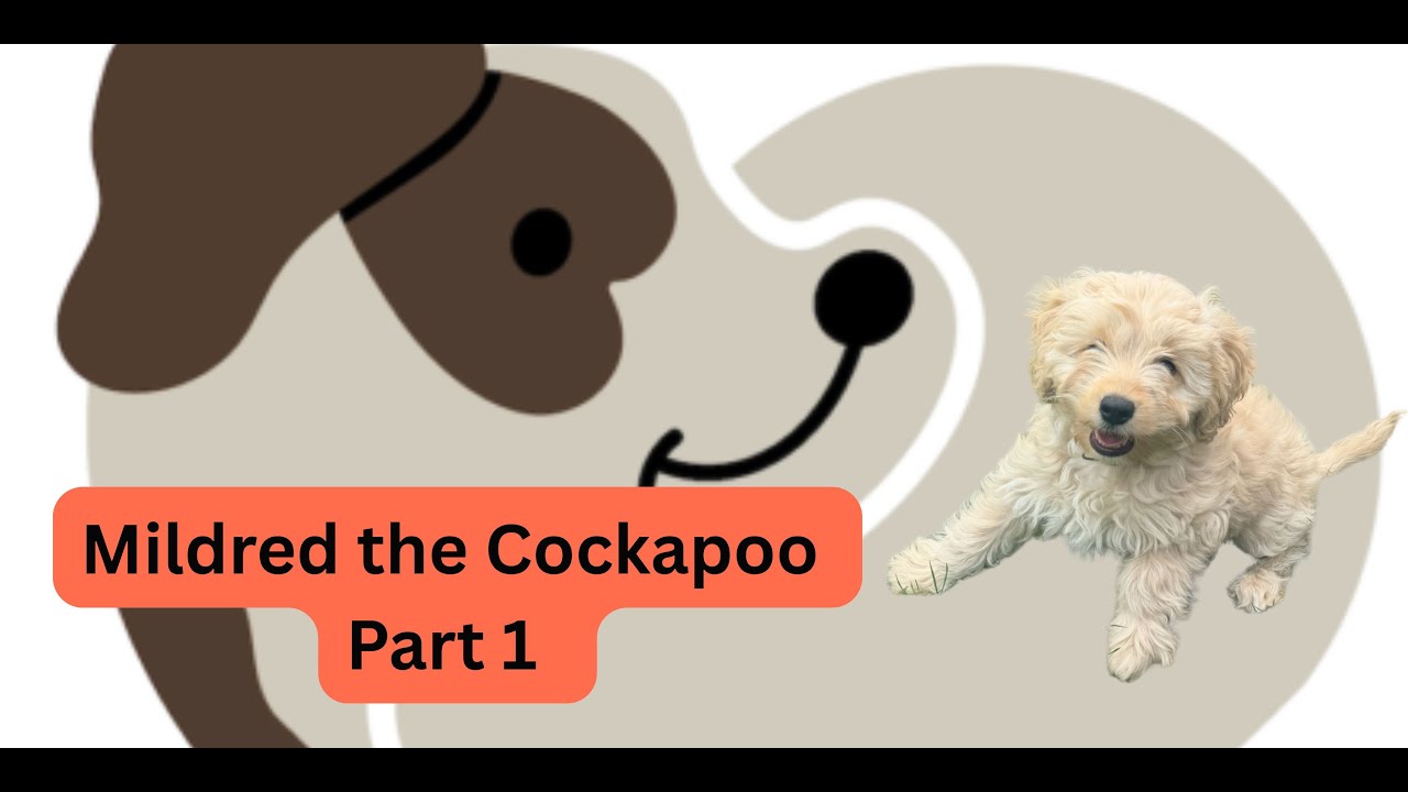 Mildred's First Week on YouTube: Adventures of an 11-Week-Old at Puppy Love Events - Part 1