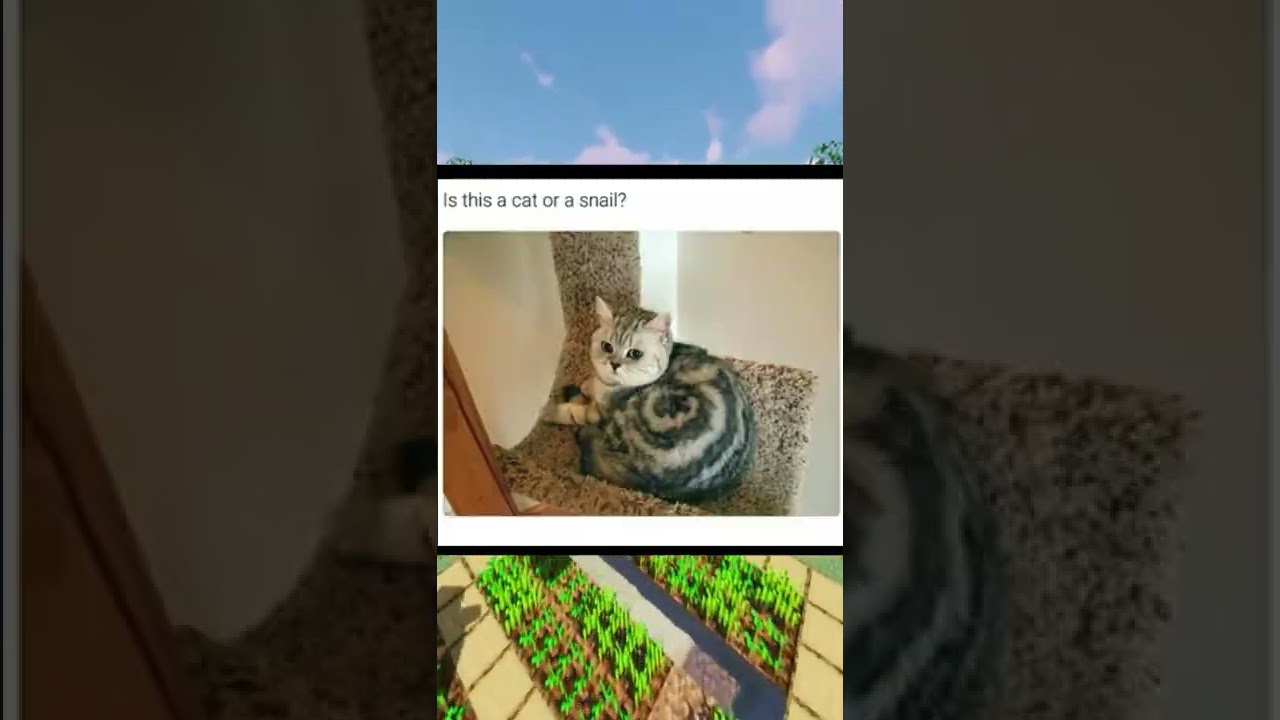 These Posts Can Cure Depression :) - YouTube