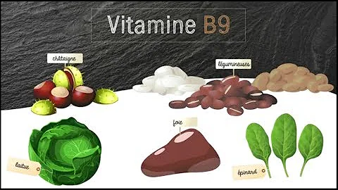 Quel est le rôle de la vitamine B9 dans l'organisme ? Quel est le rôle de la vitamine B9 dans l'organisme ?