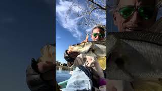 Captain Joe and Topwater Tom team up to put a nice Snook in the boat