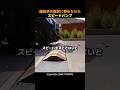 運転手の選択に委ねられたスピードバンプ