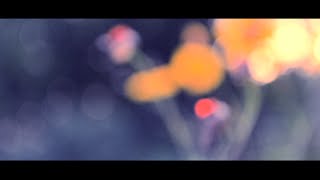 Los Angeles Police Department - She Came Through (Again)