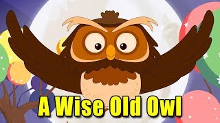 A Wise Old Owl Song - Animation Kids Rhymes | English Kids Song | Kids Learning Videos
