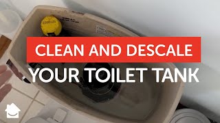 How to Clean and Descale Your Toilet Tank