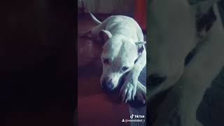 11 De Agosto De 2020