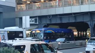 Mta Bus Some Xd40S Archer Avenue Sutphin Blvd