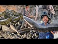 Amazing… How to Pump water in the canal to catch big fishing