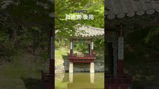 SeoulTrip#000 #서울여행 #seoultravel #seoultrip #ソウル旅行