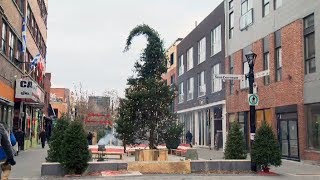 Montreal's ugly Christmas tree gets 'surprising' reaction