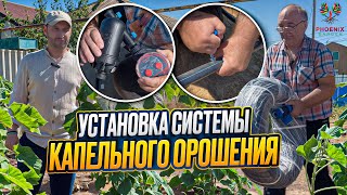 Установка капельного орошения в нашем питомнике — забота о саженцах.