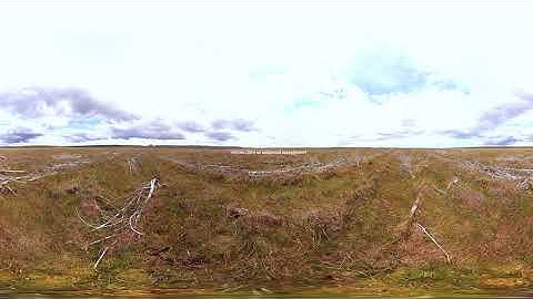 Peatland Restoration 4 Chronosequences"