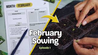 What Im Sowing In February In Germany Monthly Sowing Series