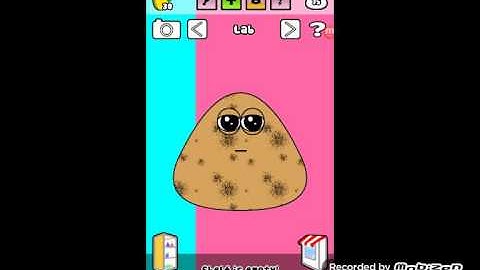 Pou-walktrough level 15 in drahcir videos