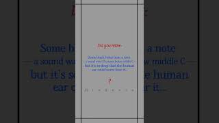 Fid you interested? #astronomy #hole #sky #youtubeshorts #fact #facts #world