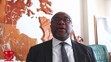 Towards Draft 1 of Post-2020 Global Biodiversity Framework: Kent Nnadozie, FAO - OEWG2