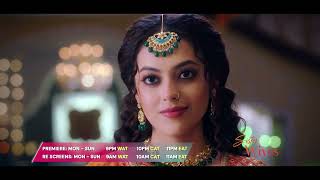 Zee World: Sister Wives | English Dubbed | Series Finale 28 August