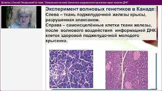 ВОССТАНОВЛЕНИЕ  ТКАНЕЙ, ОРГАНОВ И  СЕНСОРОВ ОРГАНИЗМА. Ольга Писарькова