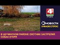 В Щучинском районе охотник застрелил собак егеря