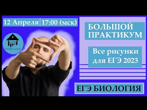 БОЛЬШАЯ ПРАКТИКА по КАРТИНКАМ В ЕГЭ по БИОЛОГИИ |Freedom|