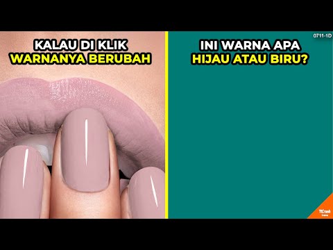 Video: Ilusi Warna