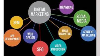 Digital Marketing Company | Brandboyz