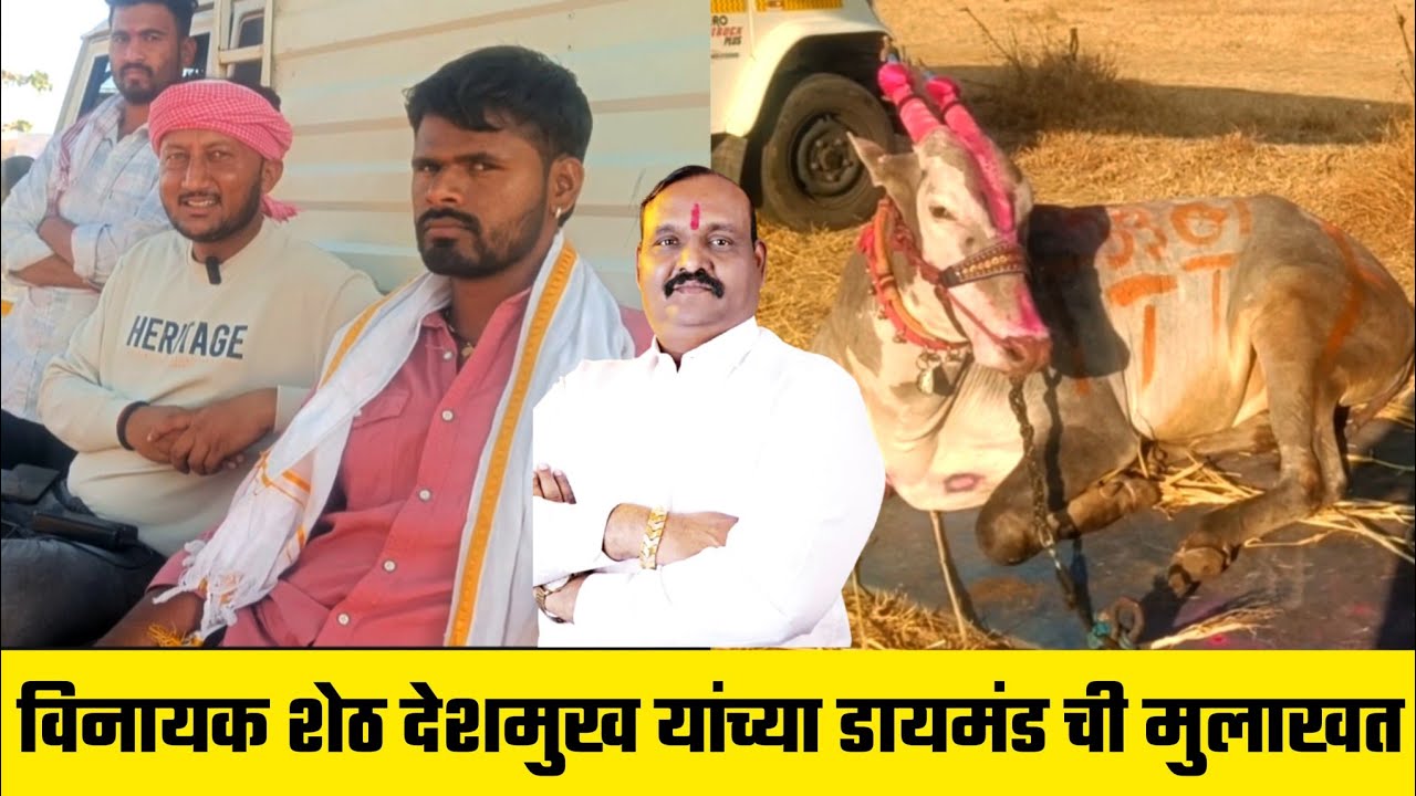 विनायक शेठ देशमुख यांच्या डायमंड ची मुलाखत | रेठरे धरण मैदानाचा फायनल चा मानकरी !