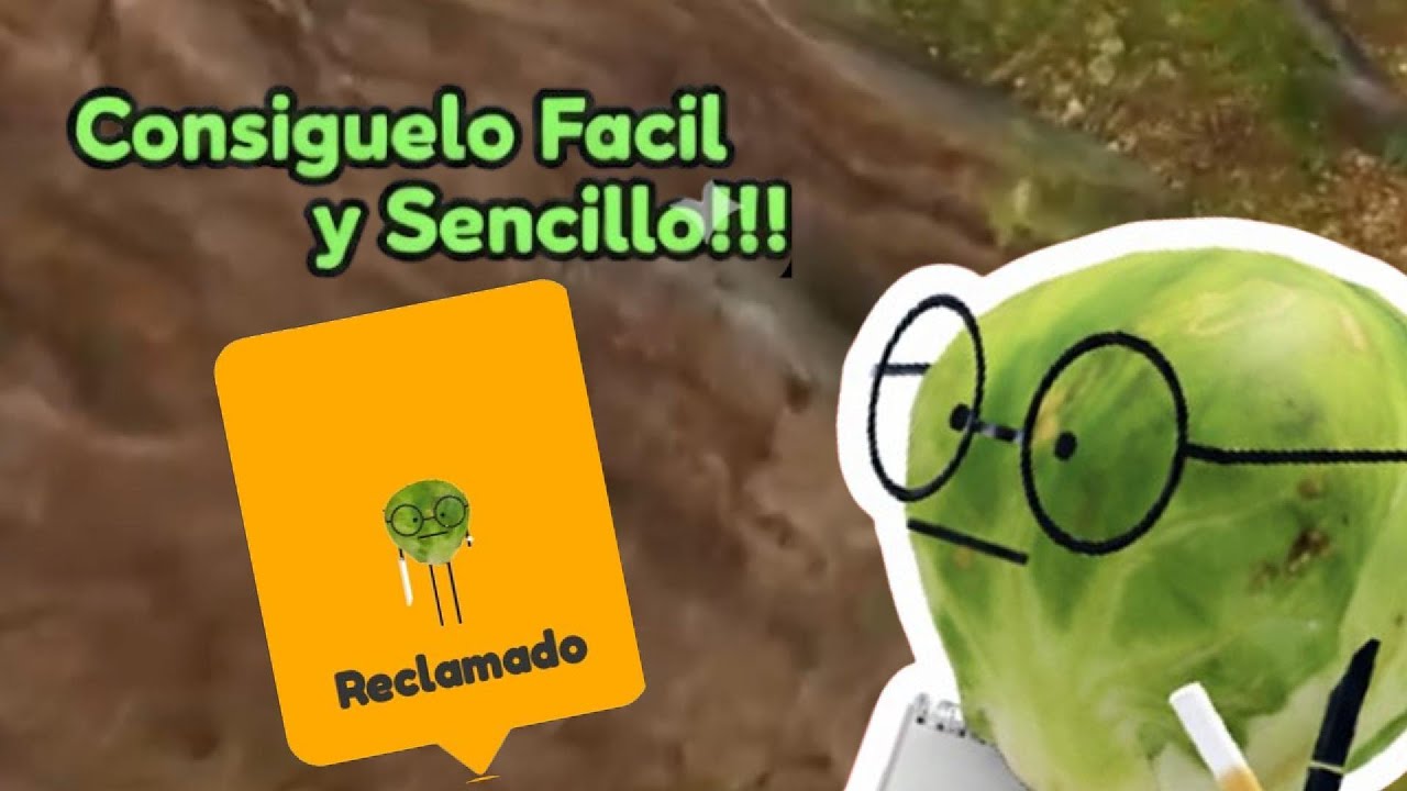 Como Conseguir el Coles de Bruselas de Aprendiz en Secret Staycation!!!!