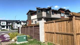 Belvedere Calgary