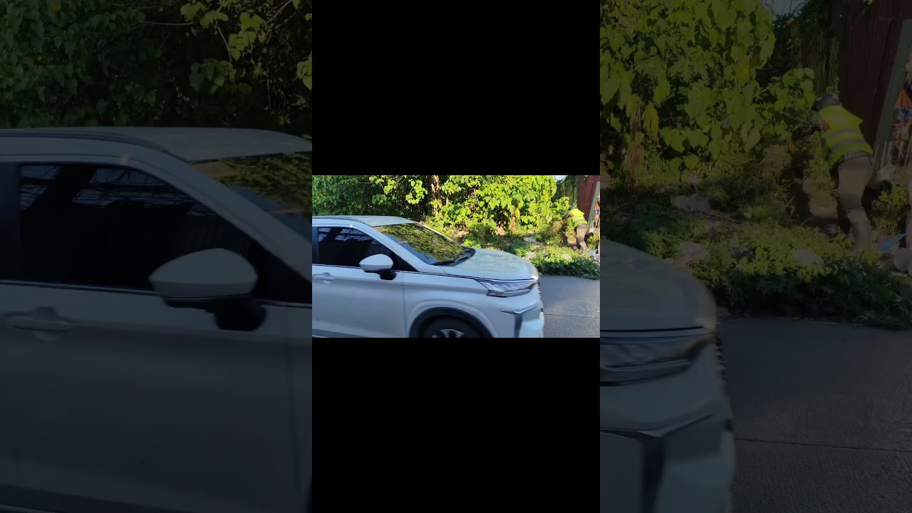 Community Cleanup Drive    Part 1 